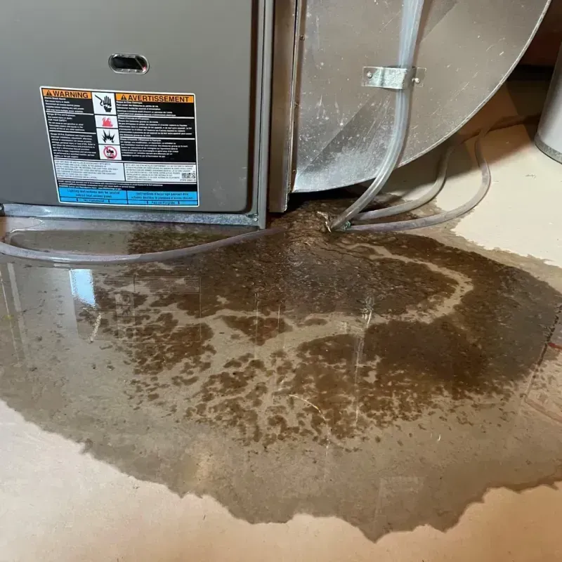 Appliance Leak Cleanup in Pleasant View, UT